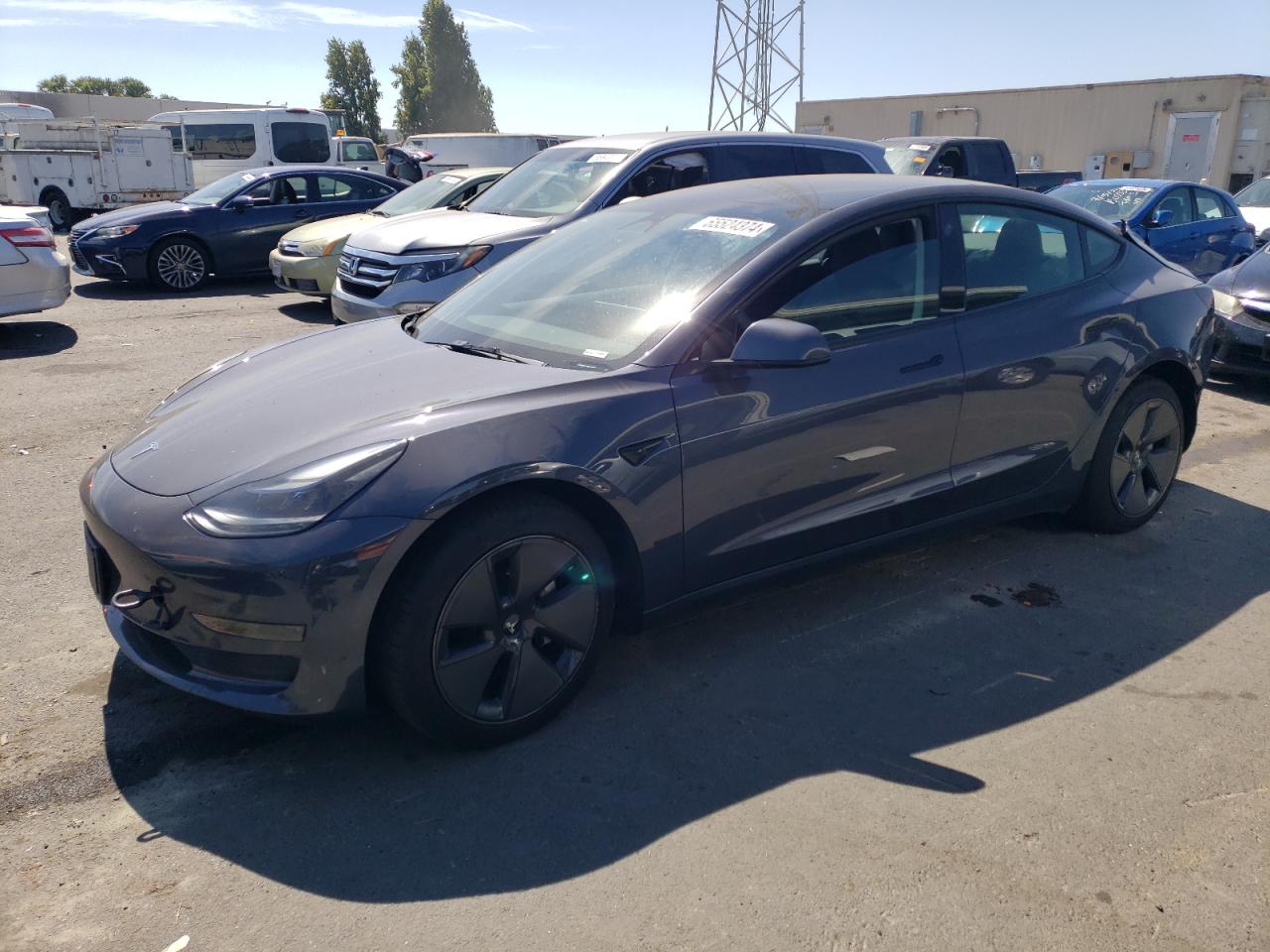 2023 TESLA MODEL 3  VIN:5YJ3E1EA5PF412576