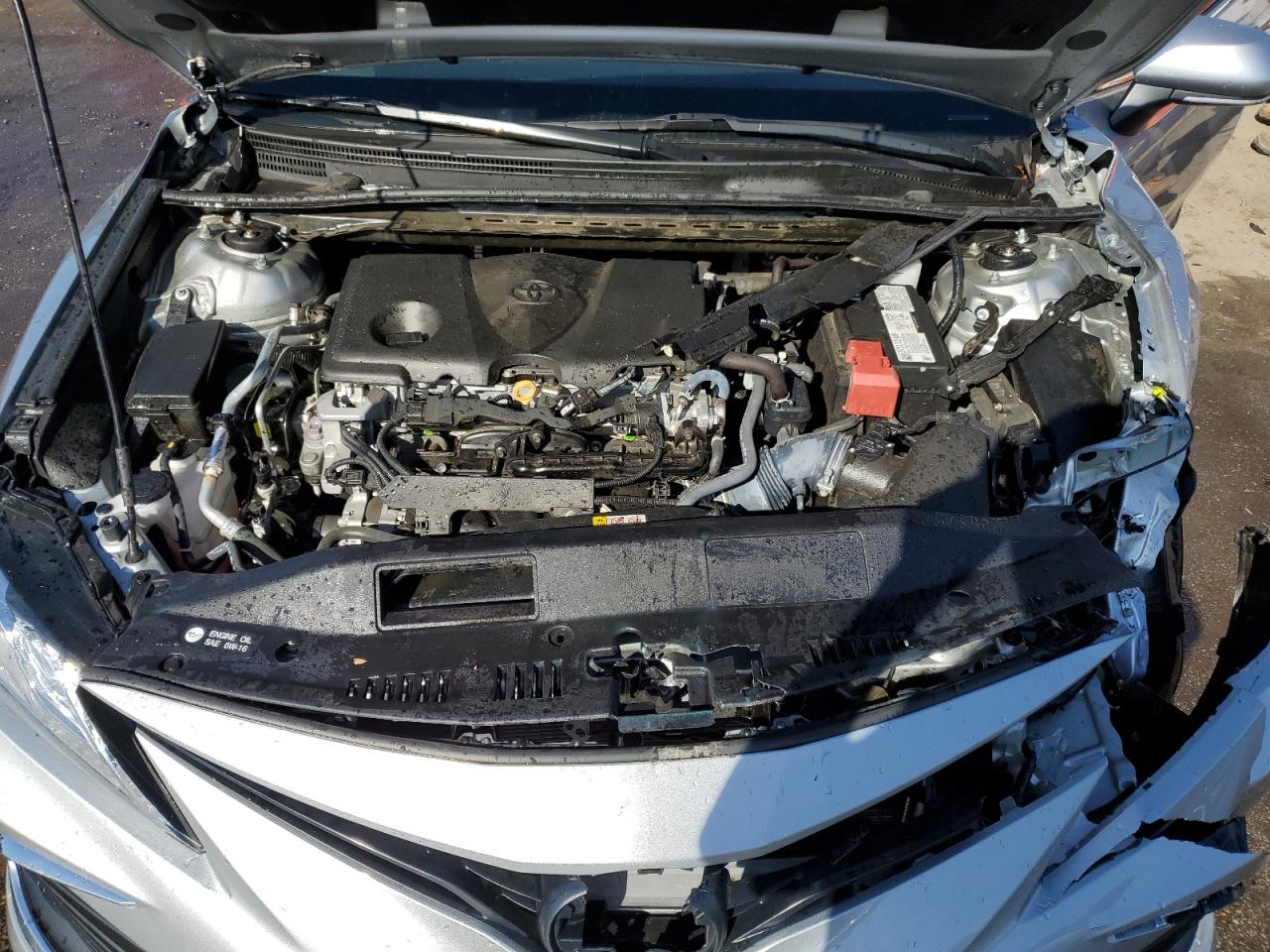 2023 TOYOTA CAMRY XLE VIN:4T1F11AK0PU144806