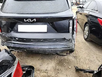 2022 Kia Sorento KNARH81GBNA101047 VIN:KNARH81GBNA101047