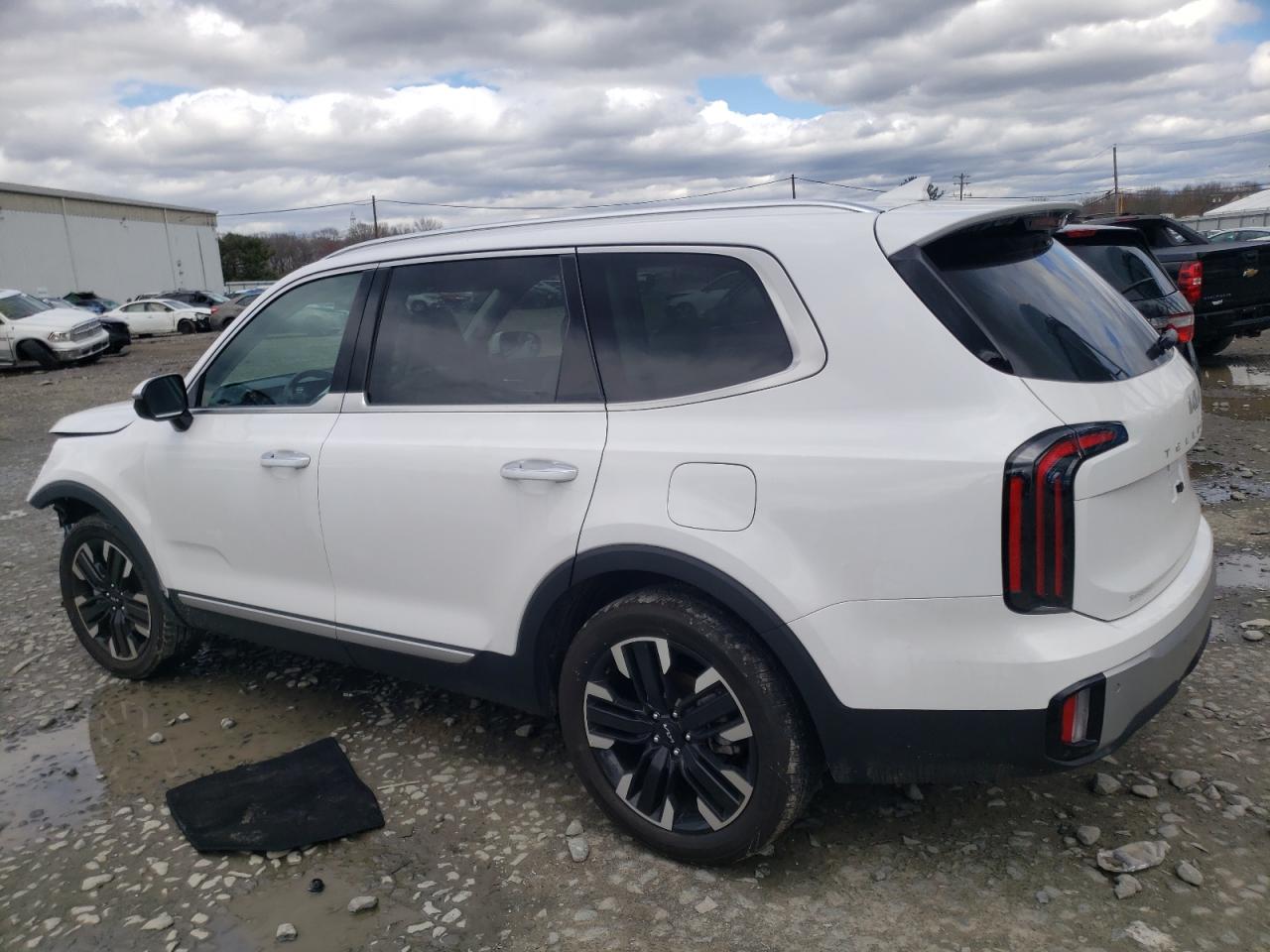 2024 KIA TELLURIDE SX VIN:5XYP5DGCXRG423277