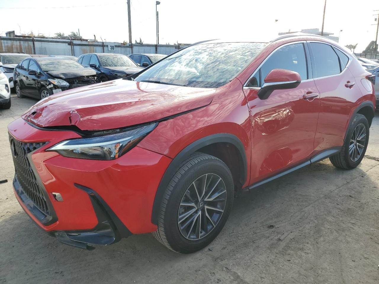 2024 LEXUS NX 250 BASE VIN:2T2ADCAZ3RC006672