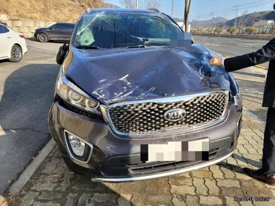 2016 Kia Sorento KNAPS81ABGA199692 VIN:KNAPS81ABGA199692