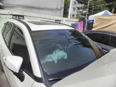 2019 Toyota RAV4 VIN: