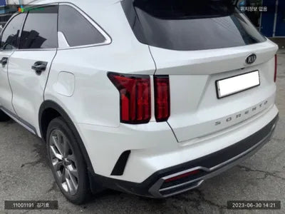2021 Kia Sorento KNARF81BGMA104673 VIN:KNARF81BGMA104673