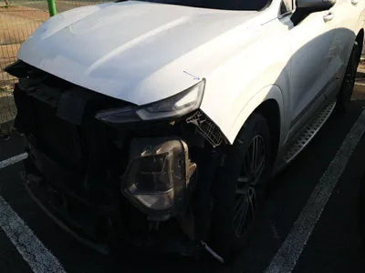 2019 Hyundai Santa FE KMHS581CDKU124309 VIN:KMHS581CDKU124309