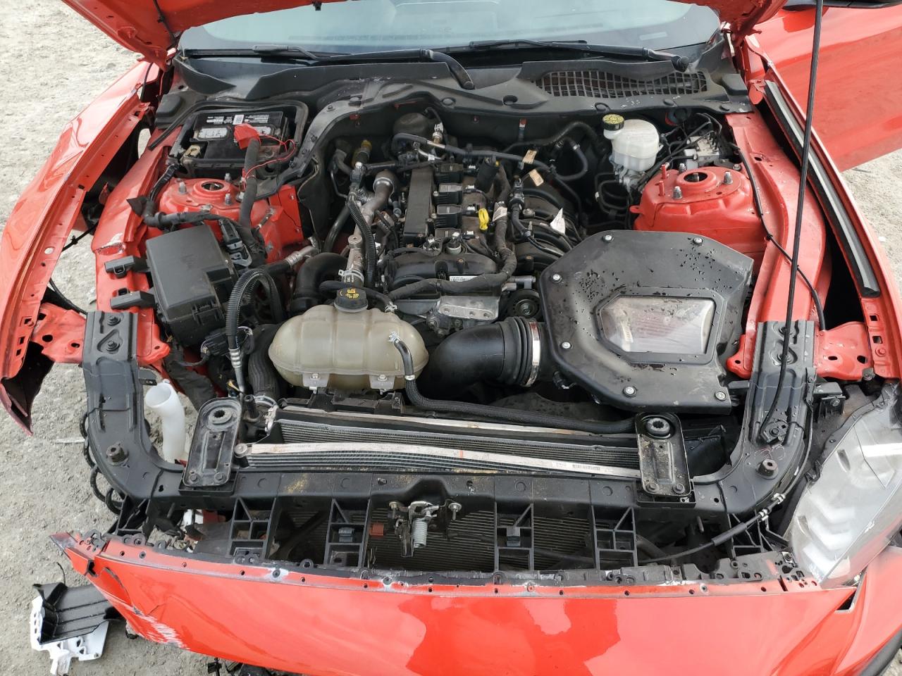2022 FORD MUSTANG  VIN:1FA6P8TH3N5101247