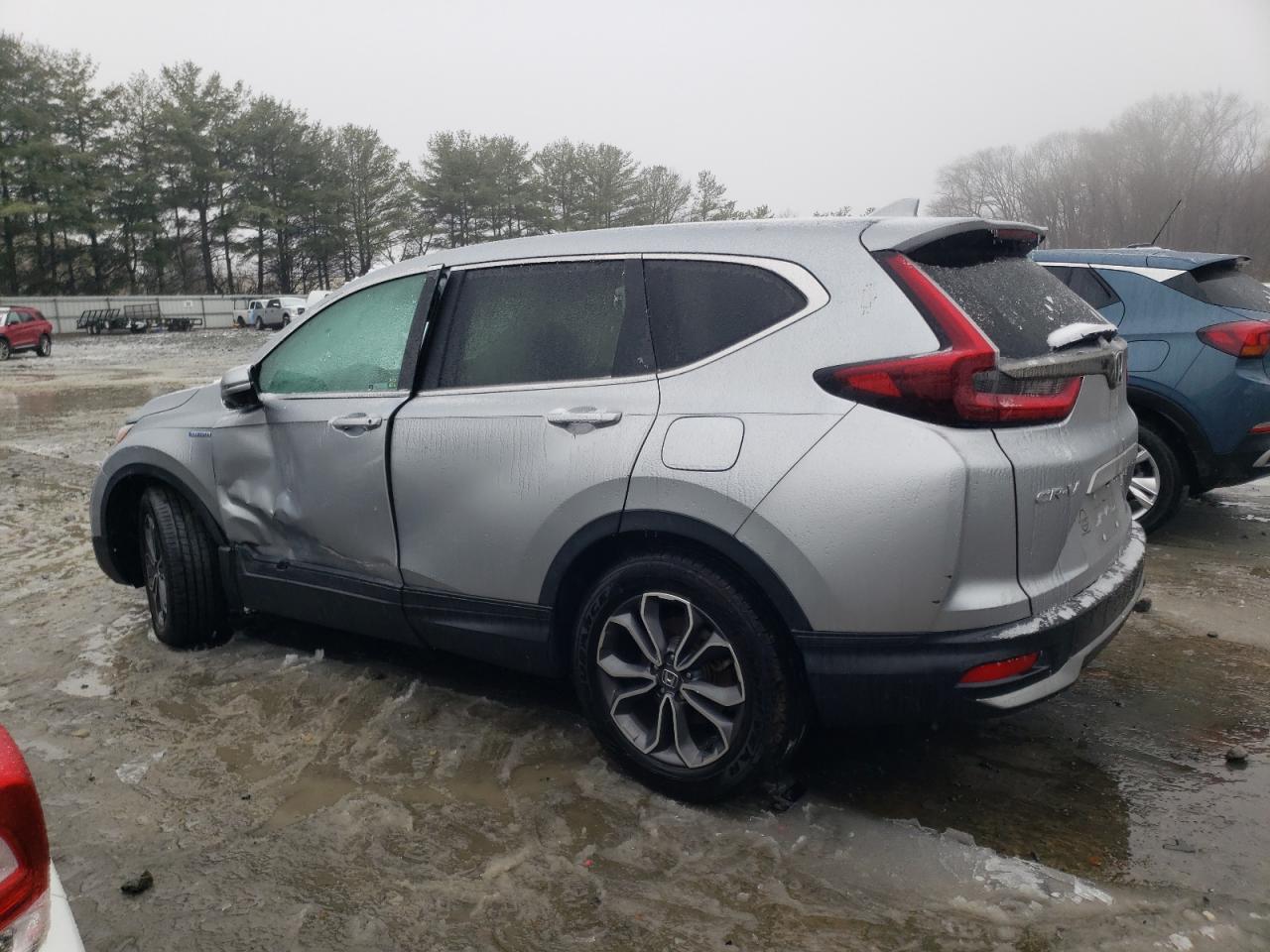 2022 HONDA CR-V EX VIN:5J6RT6H51NL056661