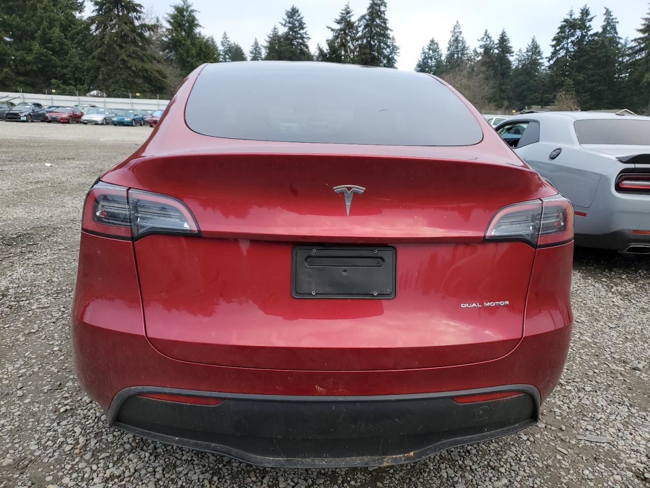 2024 TESLA MODEL Y  VIN:7SAYGDEE3RF014258