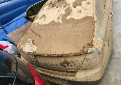 2019 Genesis G90 KMHG141DBKU062223 VIN:KMHG141DBKU062223