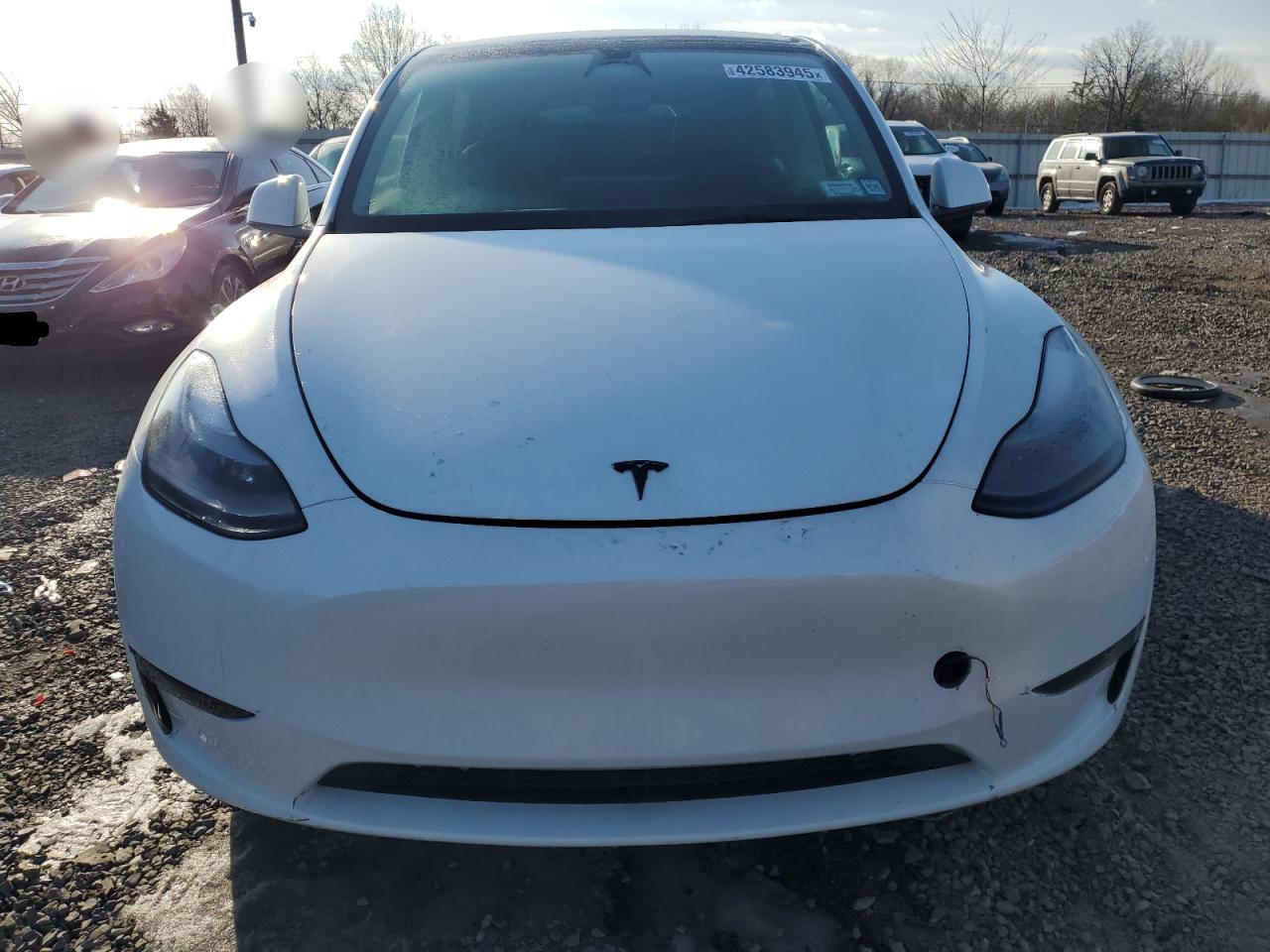 2023 TESLA MODEL Y  VIN:7SAYGDEE3PF673843