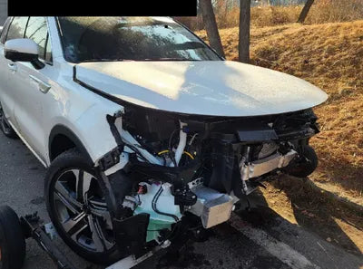 2022 Kia Sorento KNARK81GBNA070590 VIN:KNARK81GBNA070590