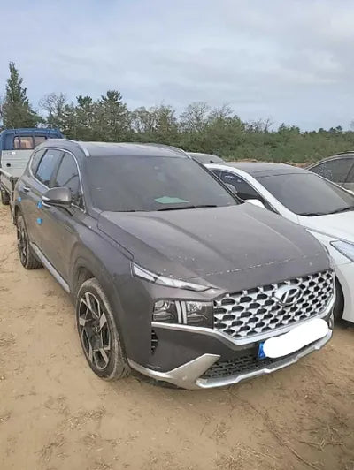 2021 Hyundai Santa FE KMHS381LHMU394906 VIN:KMHS381LHMU394906