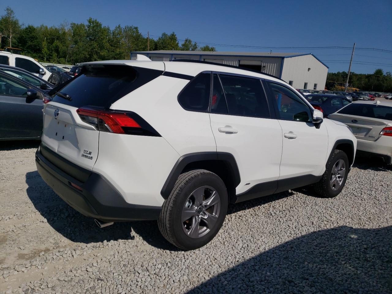 2023 TOYOTA RAV4 XLE VIN:JTMRWRFV1PD171565