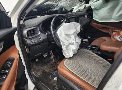 2020 Kia Sorento KNAPH81BBLA584791 VIN:KNAPH81BBLA584791
