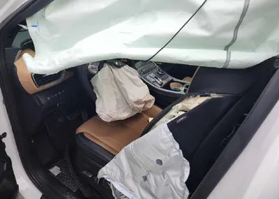 2021 Hyundai Santa FE KMHS581HGMU396744 VIN:KMHS581HGMU396744