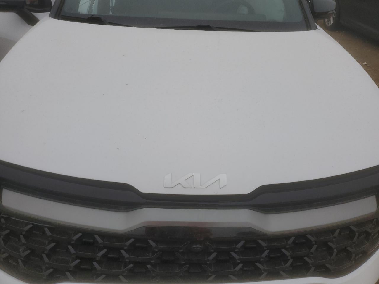 2023 KIA SPORTAGE X-PRO VIN:5XYK7CAF0PG126422