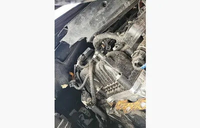 2019 Hyundai Santa FE 521KMKMHS381CDKU0 VIN:521KMKMHS381CDKU0