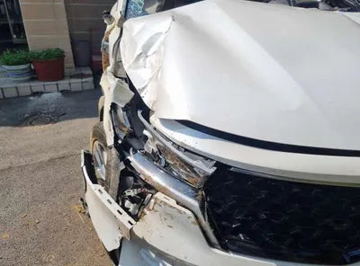 2020 Kia Sorento KNARK81BGMA002936 VIN:KNARK81BGMA002936