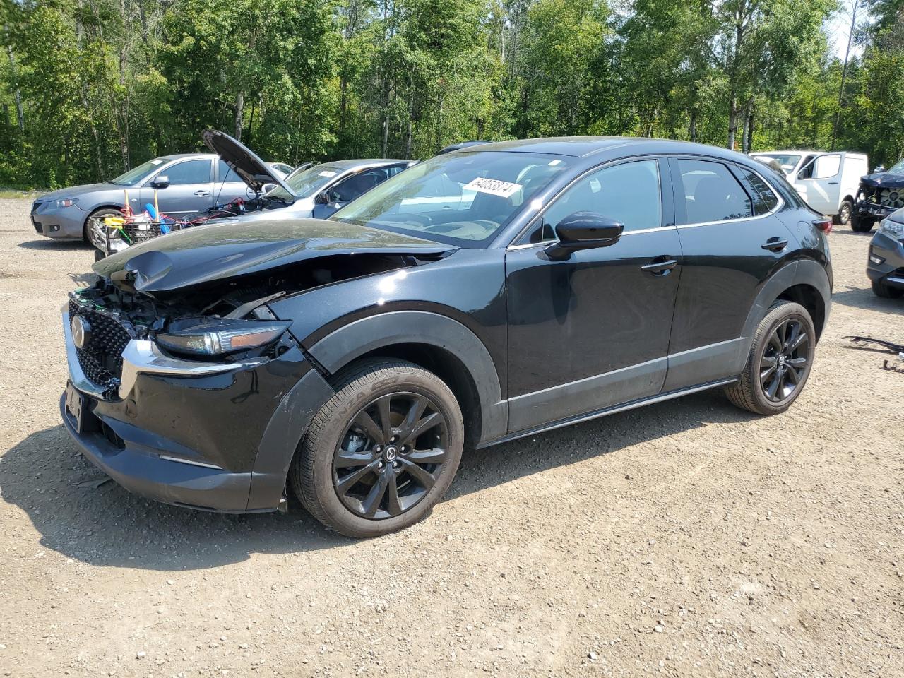 2023 MAZDA CX-30 PREMIUM VIN:3MVDMBDY5PM587643