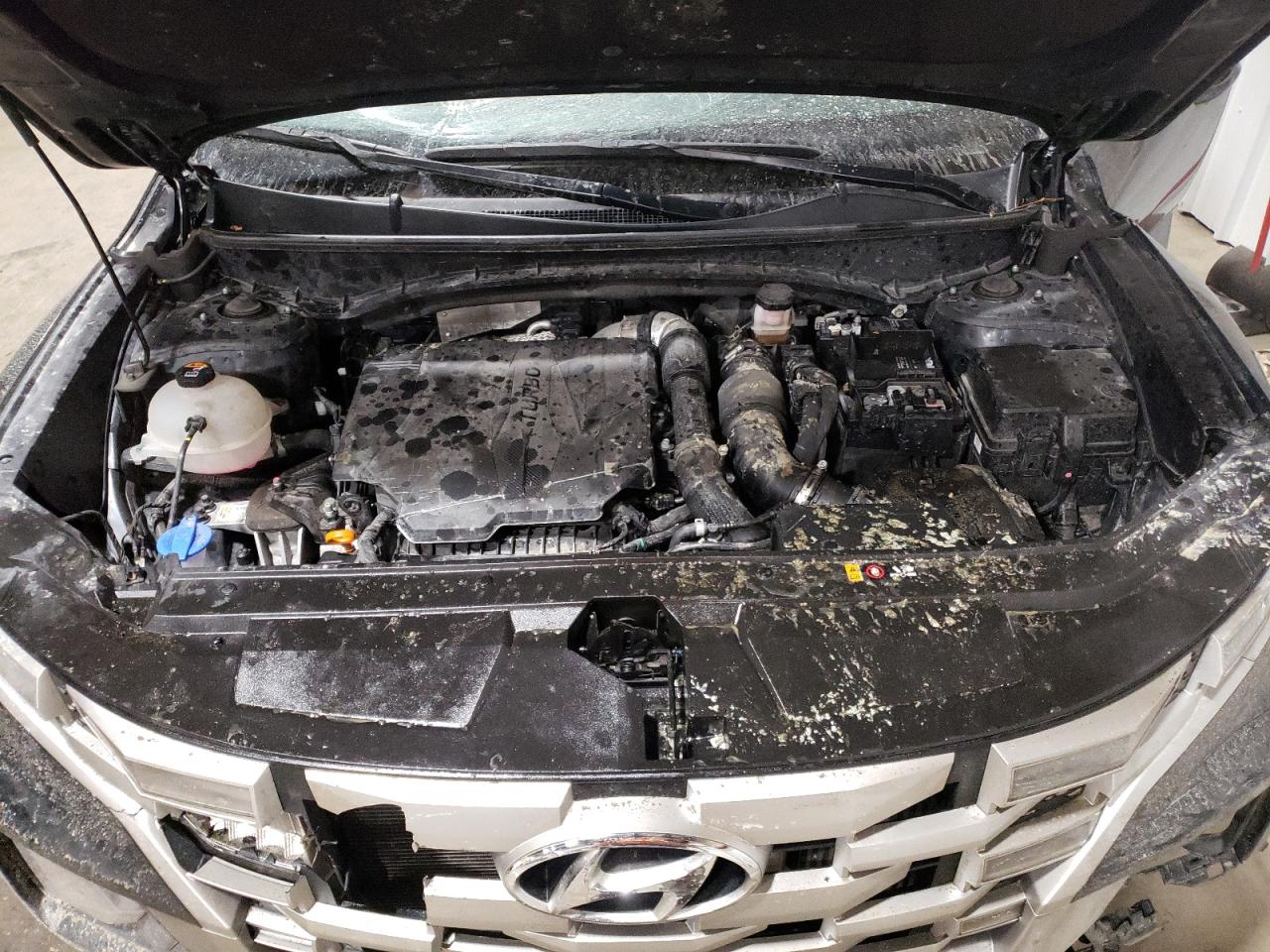 2023 HYUNDAI SANTA CRUZ SEL PREMIUM VIN:5NTJDDAF0PH056716