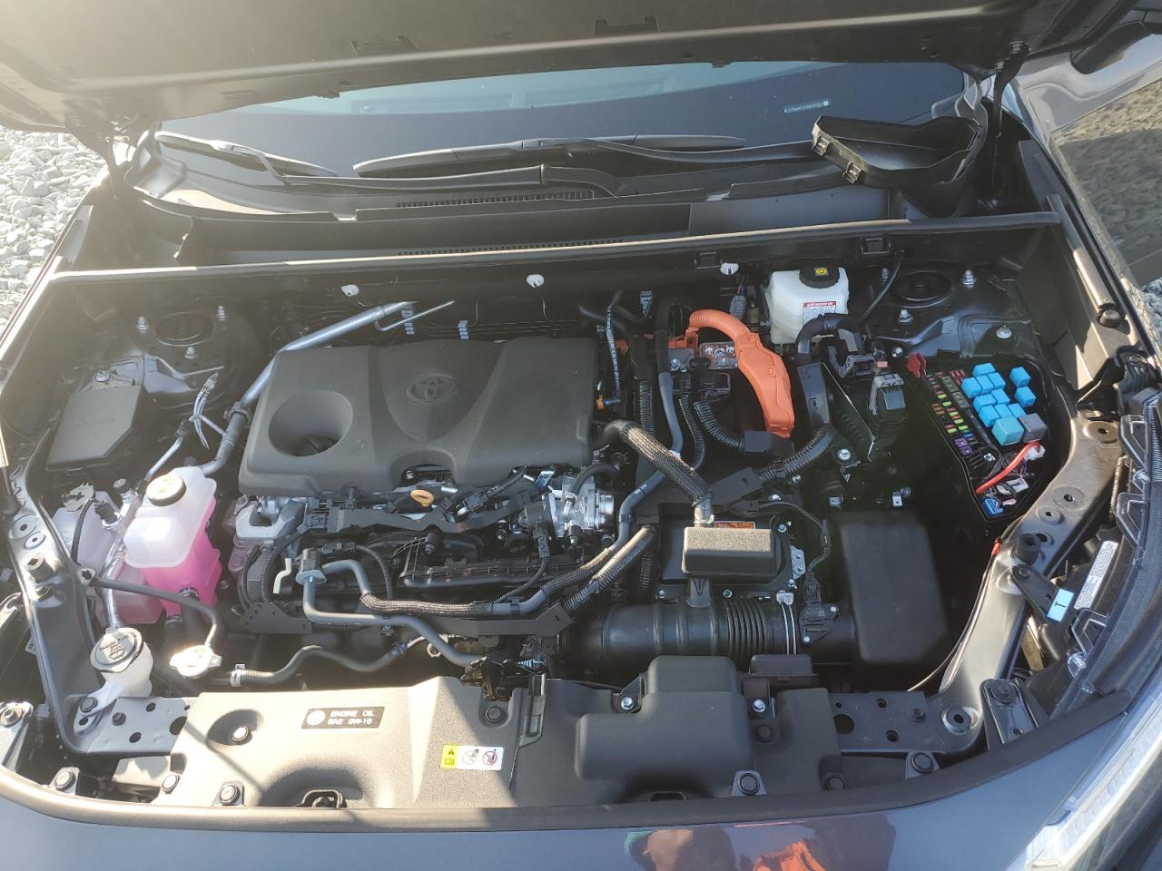 2024 TOYOTA RAV4 XLE VIN:2T3RWRFV2RW246859