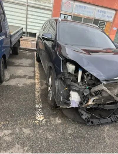 2019 Kia Sorento KNAPK81BBKA516596 VIN:KNAPK81BBKA516596