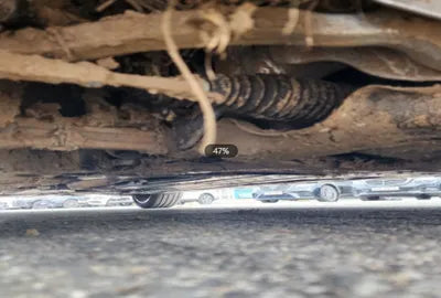 2020 Mercedes-Benz E 300 W1KZF5EB5LA817918 VIN:W1KZF5EB5LA817918