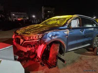 2022 Kia Sorento KNARL81GBNA105089 VIN:KNARL81GBNA105089