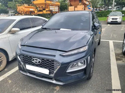 2020 Hyundai Kona KMHK381EGLU018051 VIN:KMHK381EGLU018051