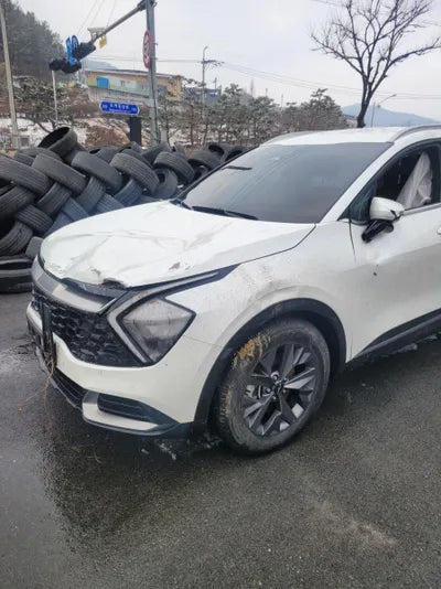 2021 Kia Sportage KNAPH81ABKA519539 VIN:KNAPH81ABKA519539