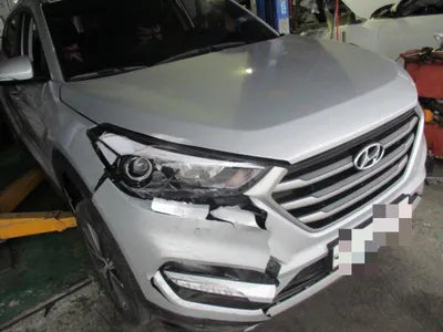 2016 Hyundai Tucson KMHJ381ABGU001620 VIN:KMHJ381ABGU001620