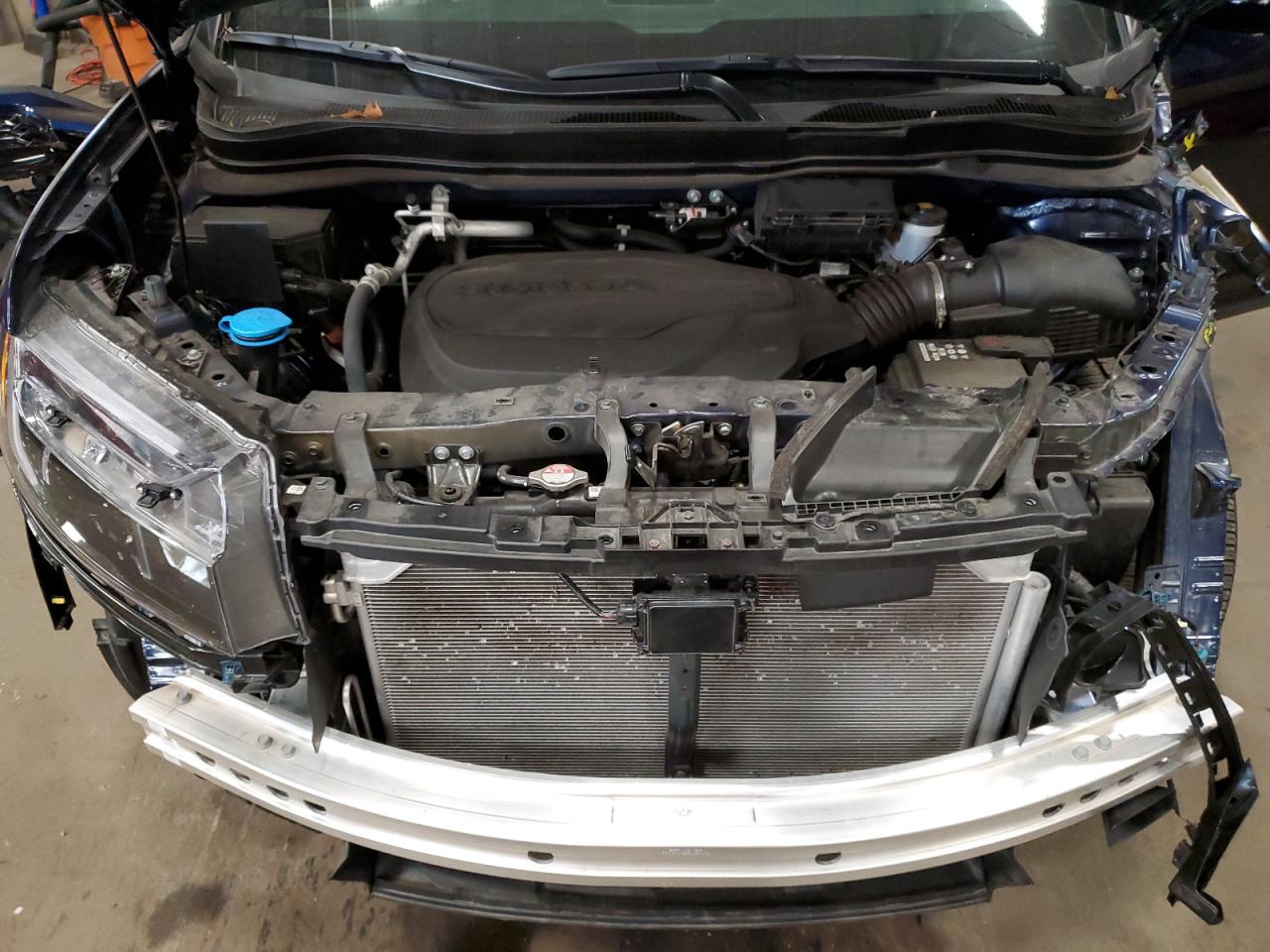 2023 HONDA PASSPORT ELITE VIN:5FNYF8H08PB012221