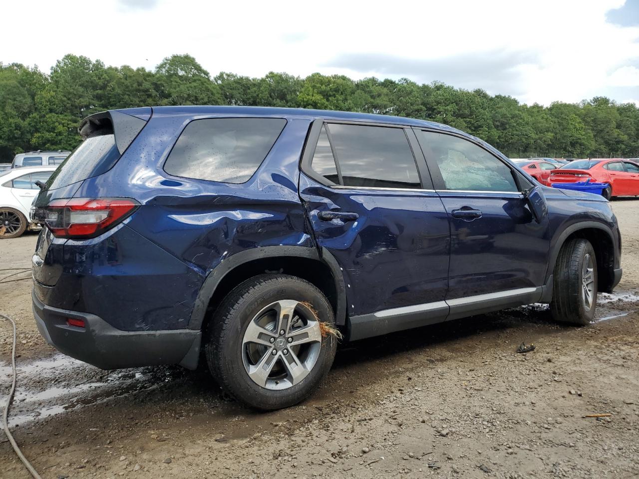 2024 HONDA PILOT EXL VIN:5FNYG2H56RB004448