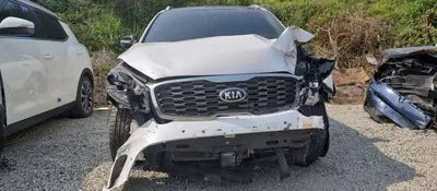 2019 Kia Sorento KNAPS81BBLA564800 VIN:KNAPS81BBLA564800