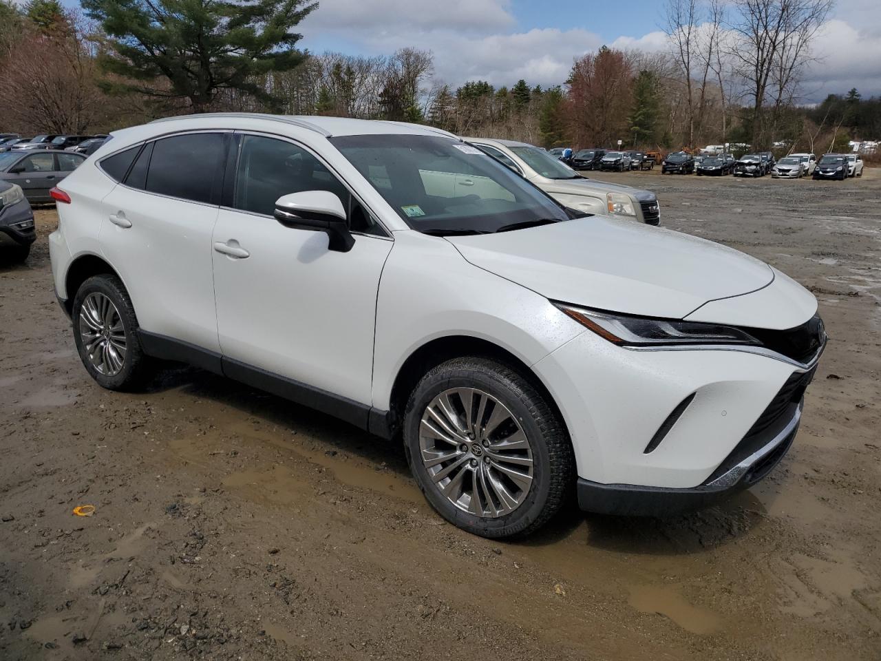 2023 TOYOTA VENZA LE VIN:JTEAAAAH3PJ141947