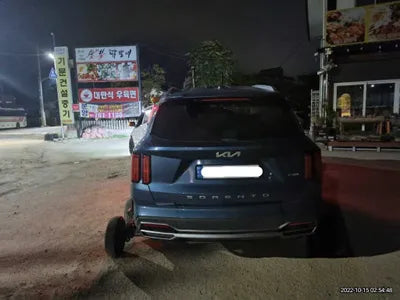 2022 Kia Sorento KNARL81GBNA105089 VIN:KNARL81GBNA105089