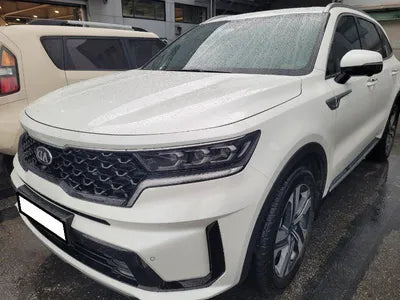 2020 Kia Sorento KNARM81GBMA016718 VIN:KNARM81GBMA016718