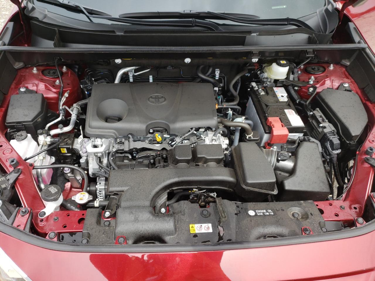 2024 TOYOTA RAV4 LE VIN:JTMF1RFV0RD105612