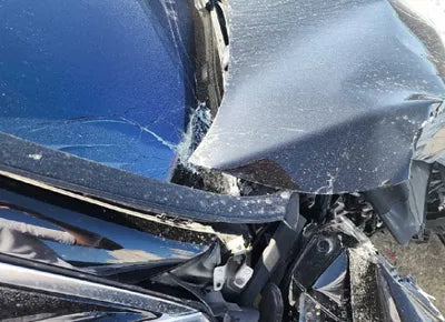 2015 Mercedes-Benz S 500 WDDUG8FB8FA119248 VIN:WDDUG8FB8FA119248