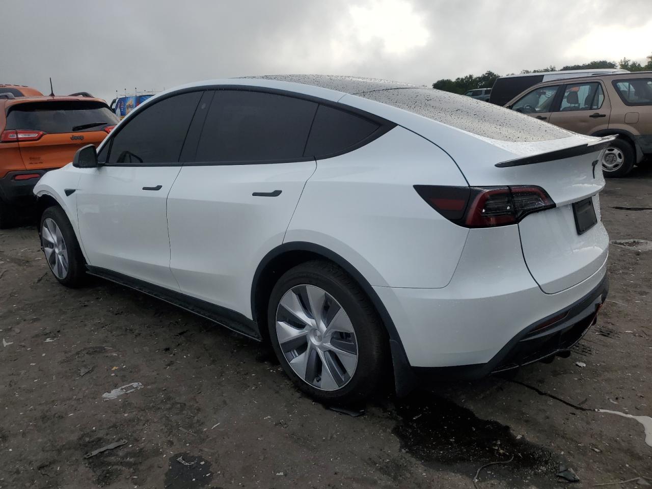 2023 TESLA MODEL Y  VIN:7SAYGDEE0PA079529