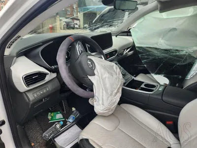 2020 Hyundai Santa FE KMHS581HHMU321463 VIN:KMHS581HHMU321463