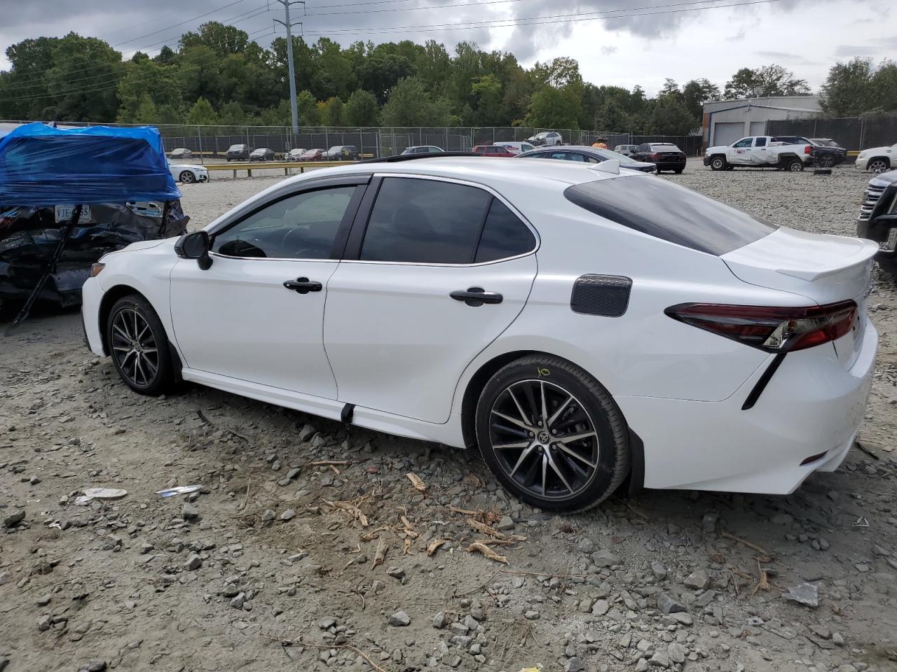 2022 TOYOTA CAMRY NIGHT SHADE VIN:4T1S31AK3NU597498