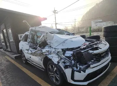 2023 Kia Sorento KNARK81GBPA167065 VIN:KNARK81GBPA167065