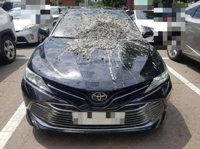 2019 Toyota Camry JTNB11HK8K3088732 VIN:JTNB11HK8K3088732
