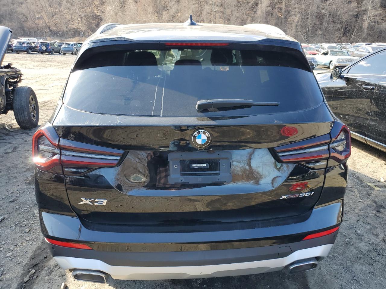 2023 BMW X3 XDRIVE30I VIN:5UX53DP01P9R97895
