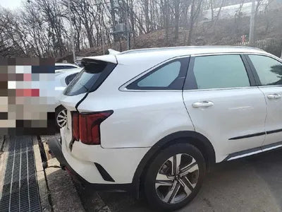 2021 Kia Sorento KNARF81GDMA045087 VIN:KNARF81GDMA045087