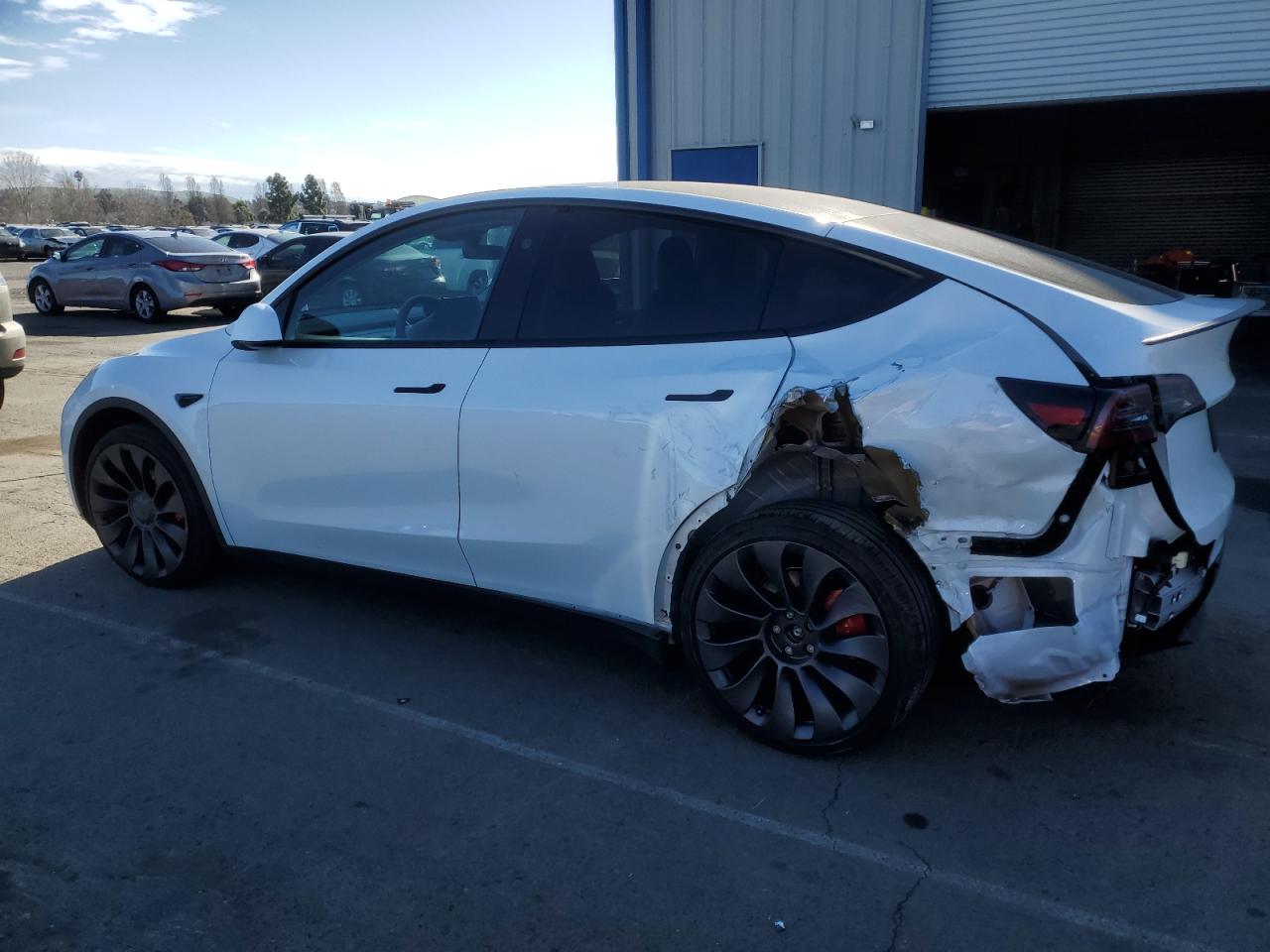 2024 TESLA MODEL Y  VIN:7SAYGDEFXRF117959