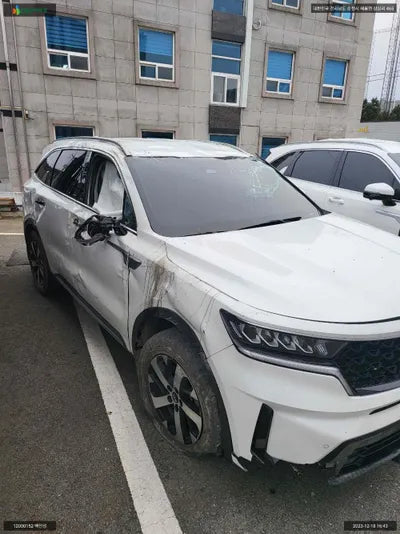 2021 Kia Sorento KNARL81BGMA090580 VIN:KNARL81BGMA090580