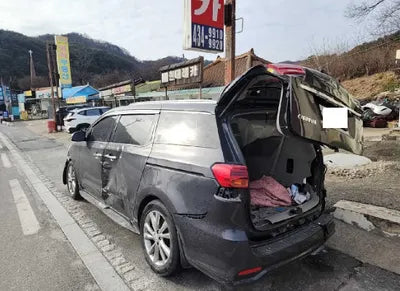 2020 Kia Carnival KNAMB81ABLS625801 VIN:KNAMB81ABLS625801