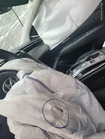 2021 Hyundai Tucson KMHJC81BGMU006059 VIN:KMHJC81BGMU006059